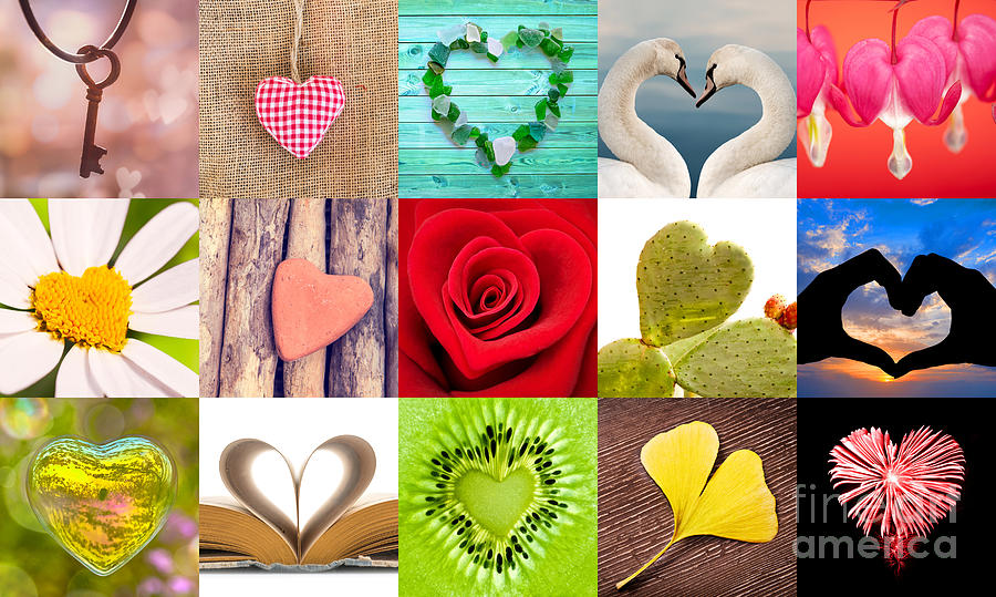 Collection of hearts Photograph by Delphimages Photo Creations