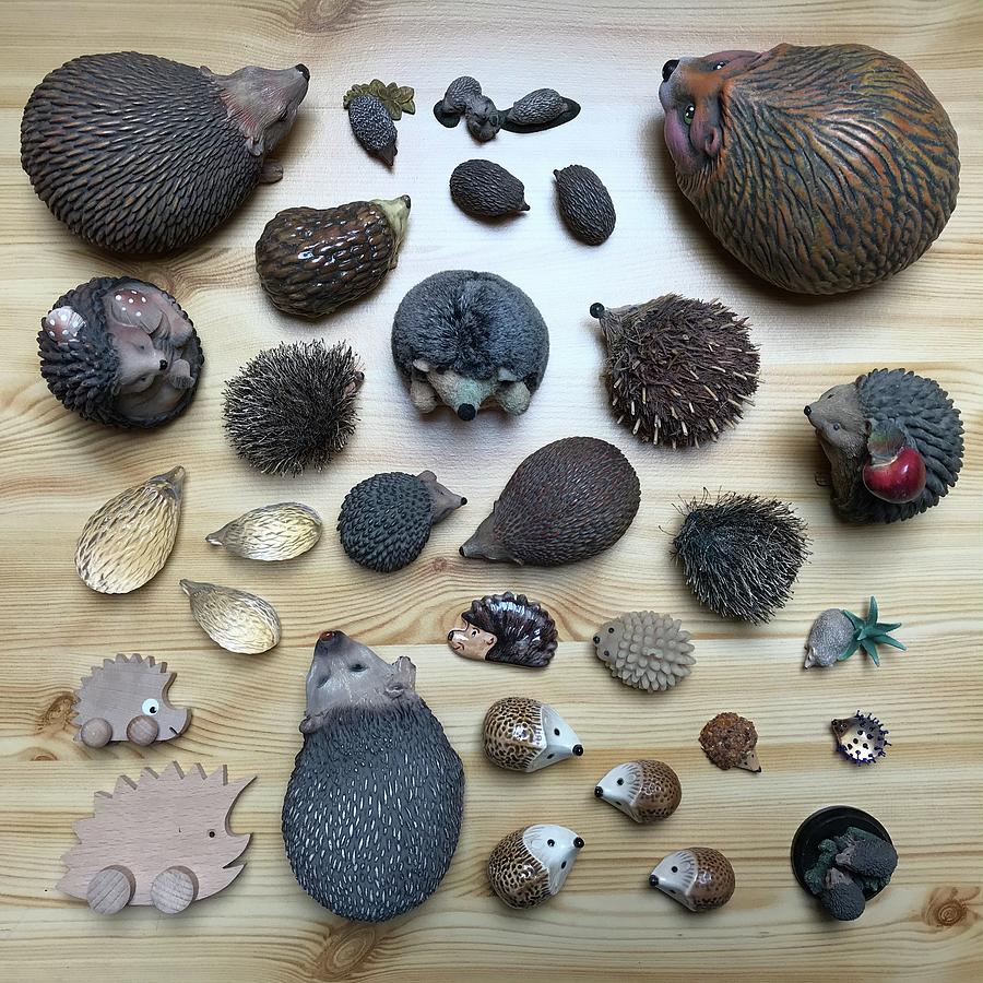 Collection of Hedgehogs of Various Materials Photograph by Jan Dolezal