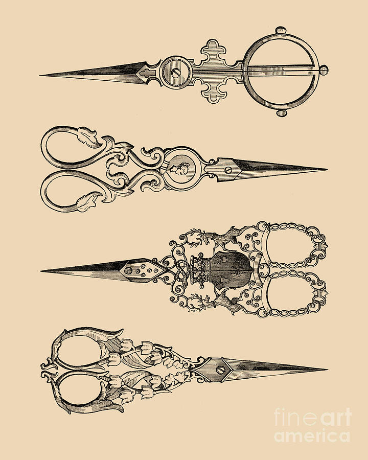 Vintage Mixed Media - Collection Of Scissors by Madame Memento