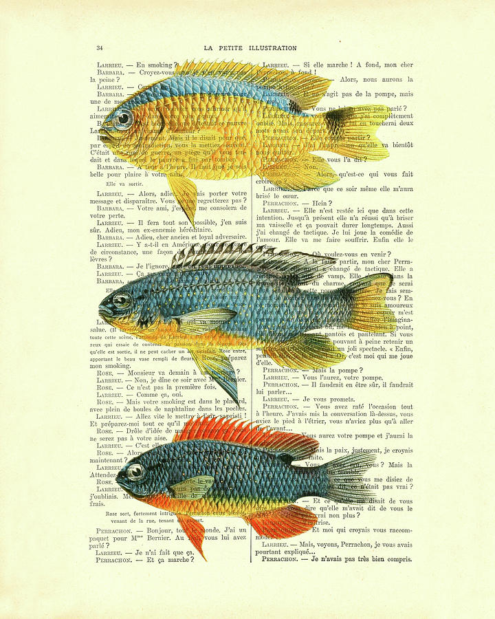 Fish Digital Art - Collection Of Tropical Fish by Madame Memento