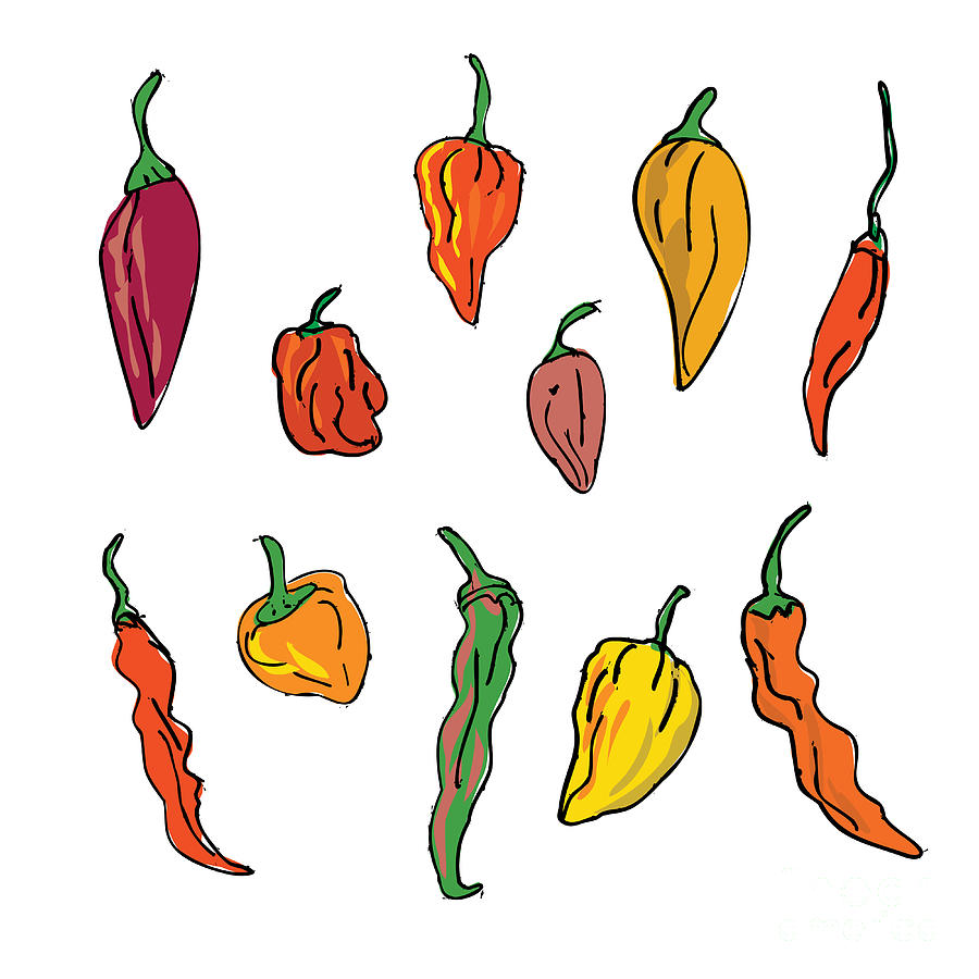 Collection or Set of Different Hot Chili Peppers Drawing Digital Art by