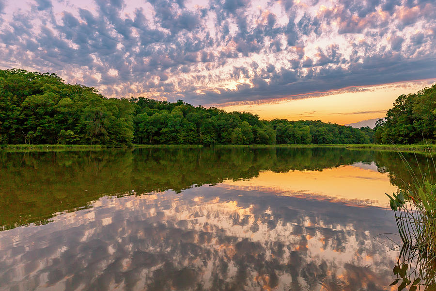College Creek Wedges Photograph by David Fountain