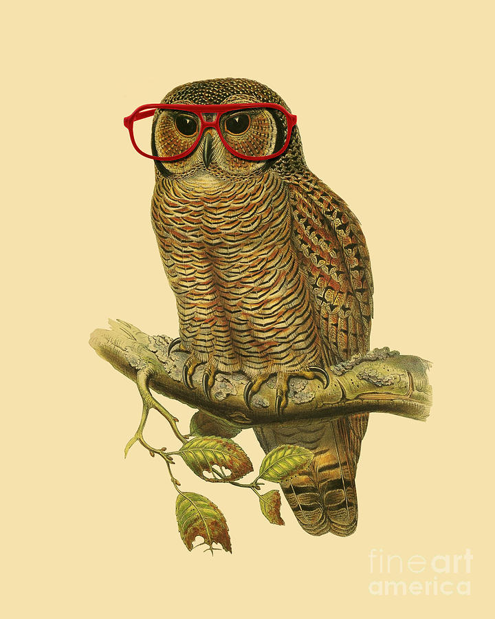 Owl Digital Art - College Student Owl by Madame Memento