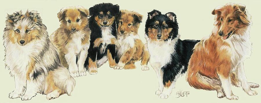 Collie Puppies Mixed Media by Barbara Keith
