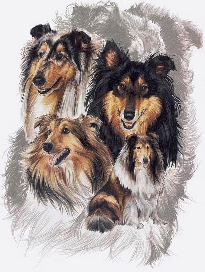 Collie Revamp Mixed Media by Barbara Keith