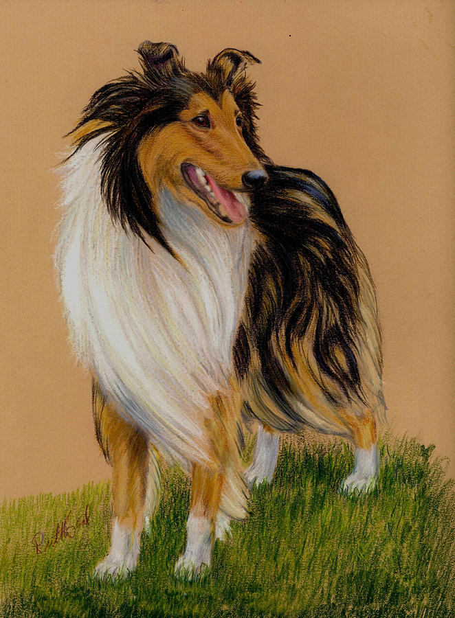 Animal Painting - Collie by Ruth Seal