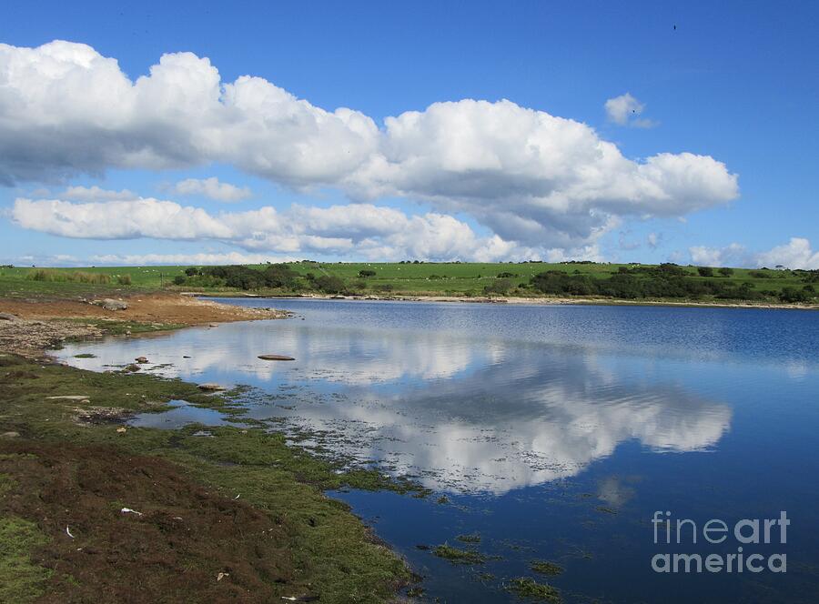 National Parks Photograph - Colliford Reflections, Cornwall UK by Lesley Evered