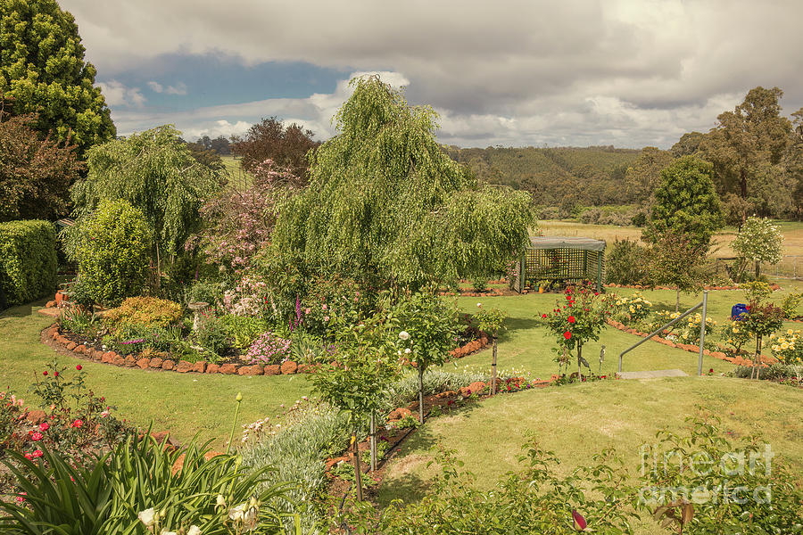 Colmah A Garden in Manjimup, Western Australia Photograph by Elaine Teague