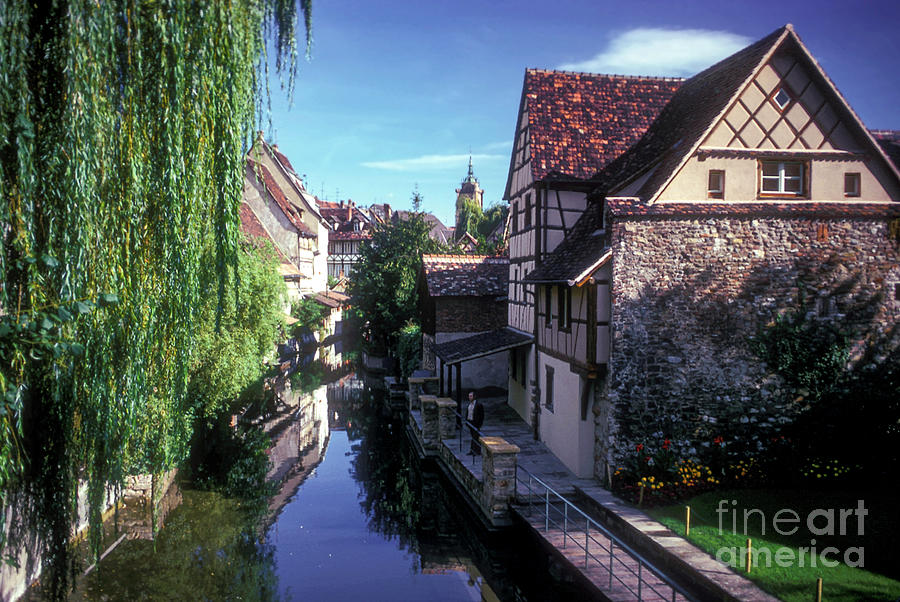 Tree Photograph - Colmar Cannel  by Bob Phillips