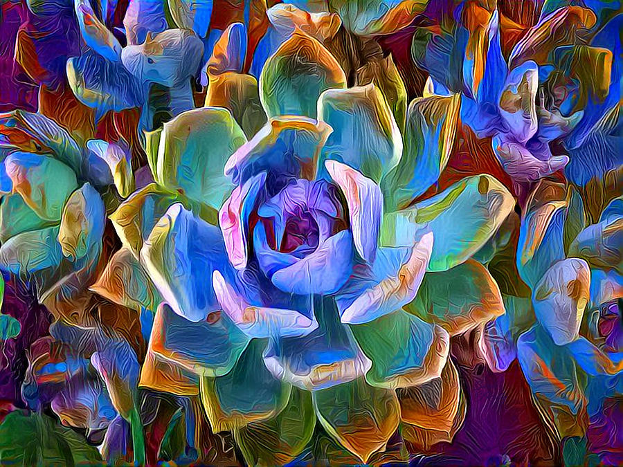 Coloful Echeveria Succulent Digital Painting Mixed Media by Sandi OReilly