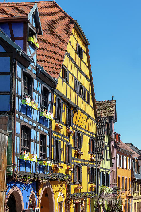 Coloful houses in Alsace, France Photograph by Delphimages Photo Creations