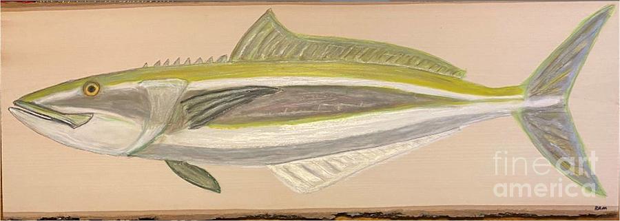 Colonel Cobia Drawing by Richard Merritts