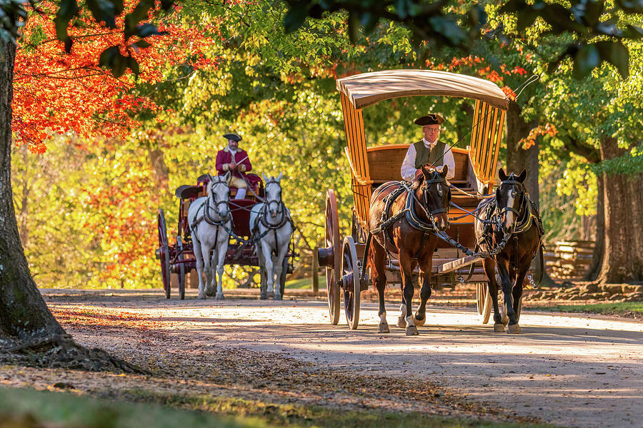 Colonial Carriages in Autumn Photograph by Rachel Morrison