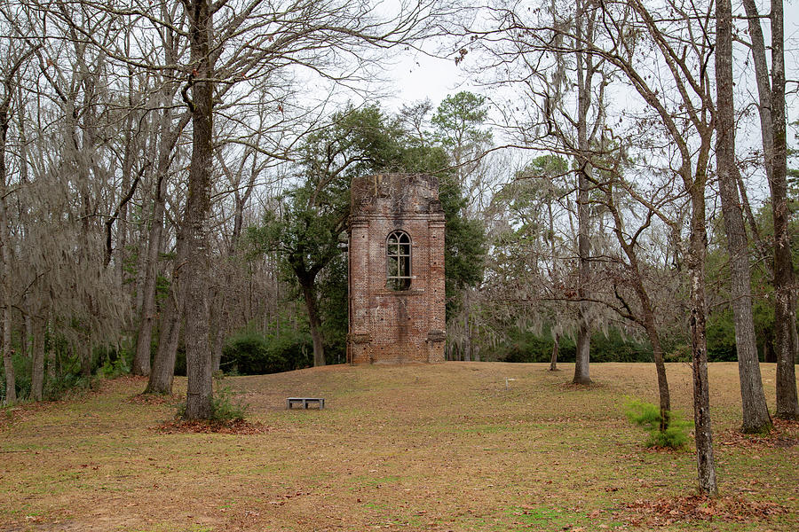 Bell Tower with Surrounding Foliage Photograph by Cindy Robinson