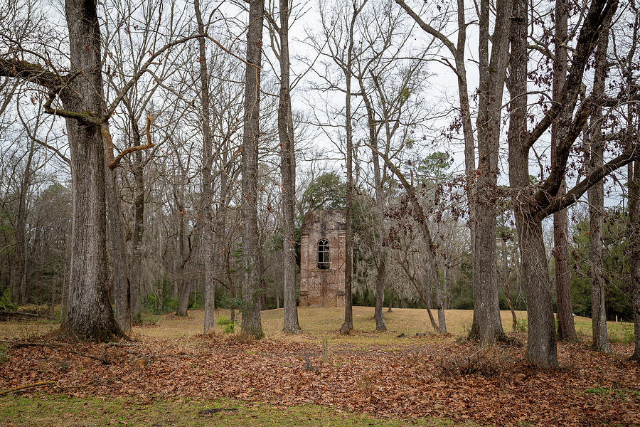 Bell Tower Among the Trees Photograph by Cindy Robinson