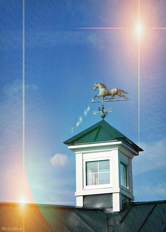Horse Photograph - Colonial Downs Weather Vane by Marilyn DeBlock