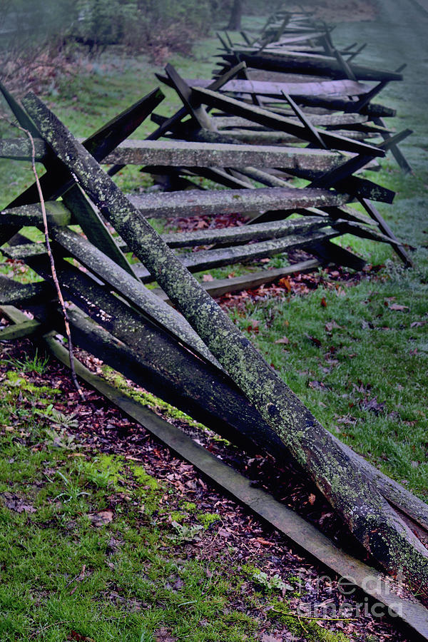 Colonial Fence on Trail Photograph by Sandy Moulder