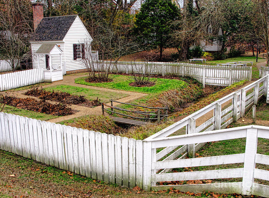 Colonial Garden in Williamsburg Photograph by Olivier Le Queinec