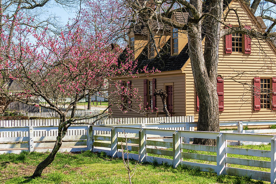 Colonial Home in the Spring Photograph by Rachel Morrison