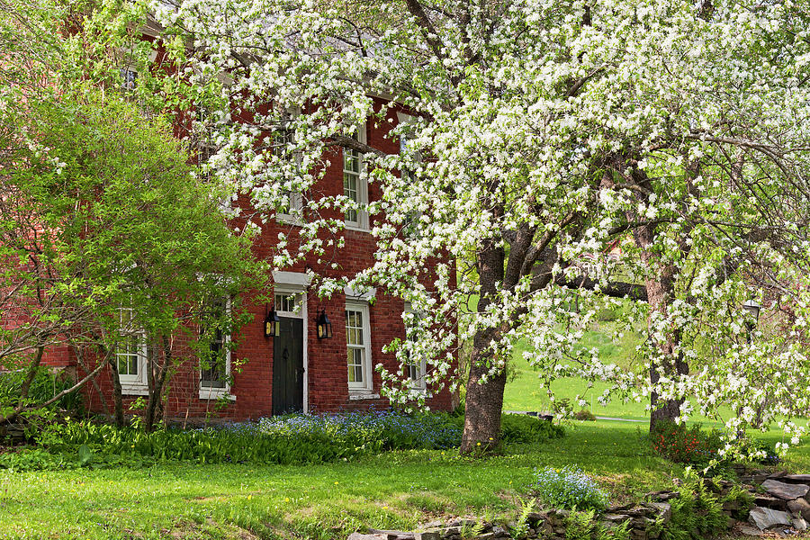 Colonial Home Spring 2 Photograph