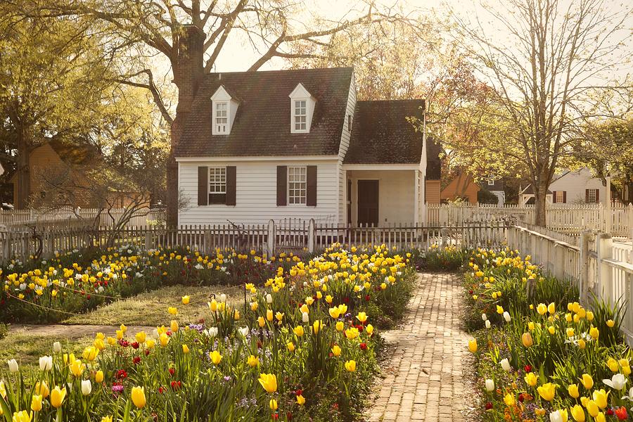 Colonial Spring Garden in the Late Afternoon Photograph by Rachel Morrison