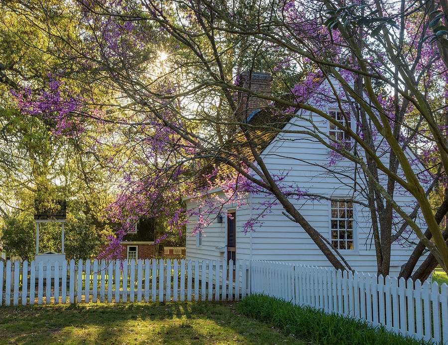 Colonial Spring House Photograph by Rachel Morrison