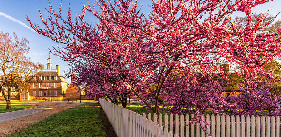 Colonial Virginia Springtime Photograph by Rachel Morrison