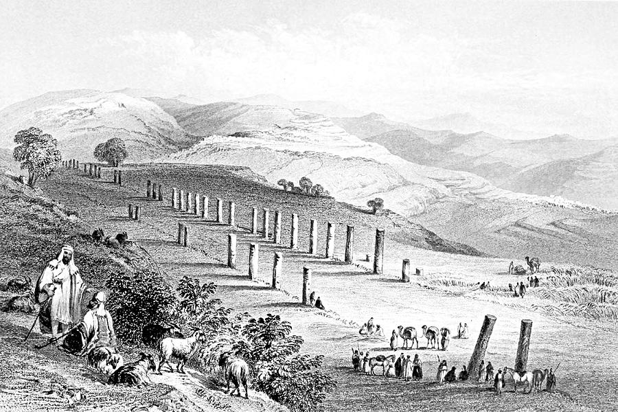 Colonnade at Sabastiya in Nablus in 1847 Photograph by Munir Alawi