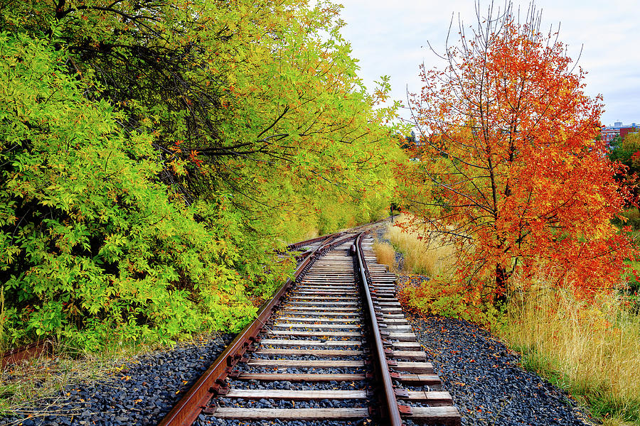 Color Along the Tracks Photograph by David Patterson
