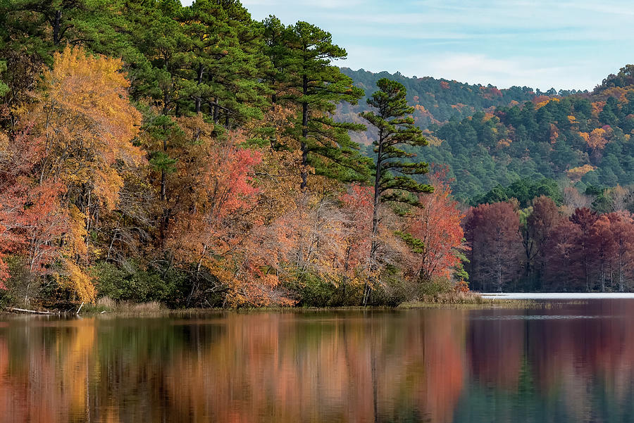 Color at Cove Lake Photograph by James Barber