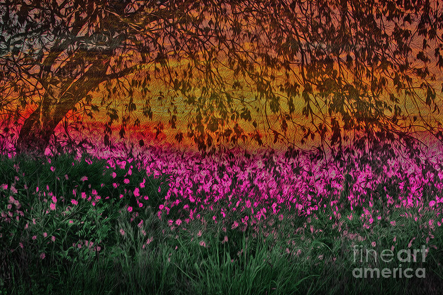 Color at the Edge of the Marsh Digital Art by Patti Powers
