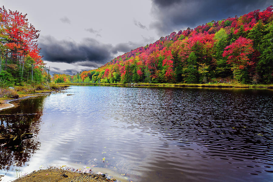 Color at the Pond Photograph by David Patterson