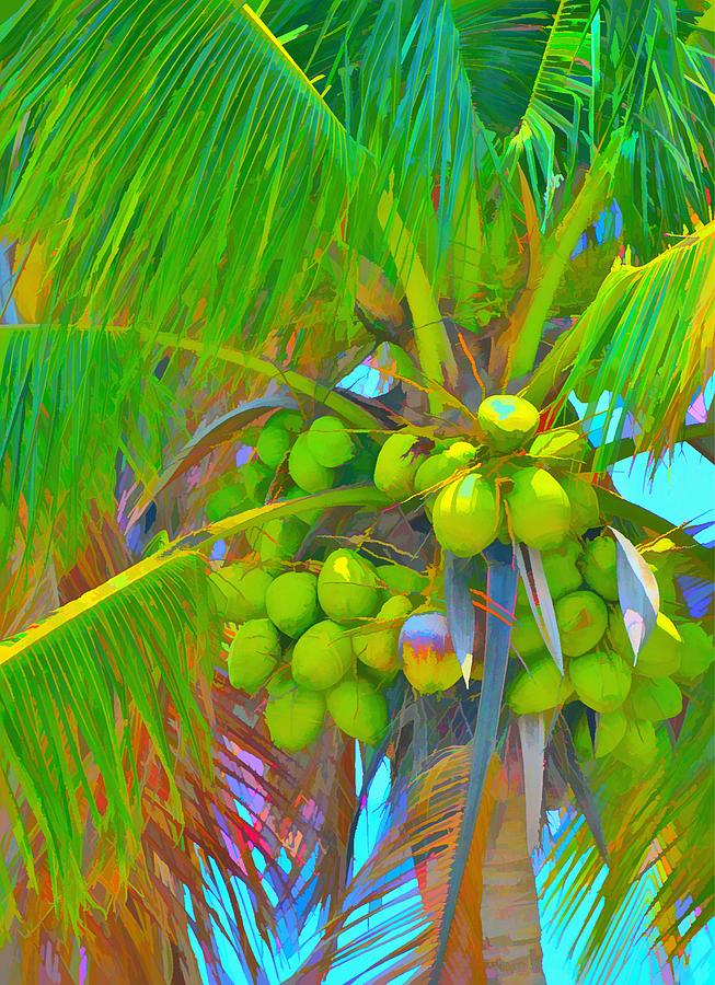 Color By Palm Photograph by Alison Belsan Horton