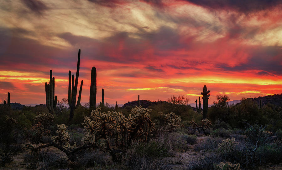 Color Fills The Desert Skies Photograph by Saija Lehtonen - Fine Art ...