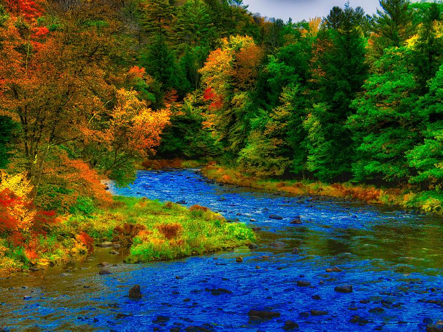 Adirondack Color Flash Photograph by Judy Cuddehe