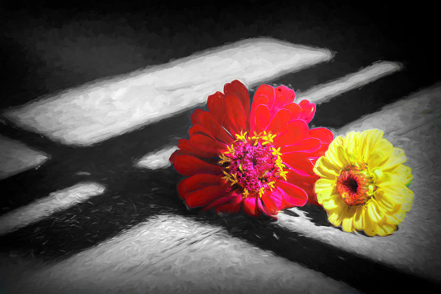 Color In The Shadows Photograph
