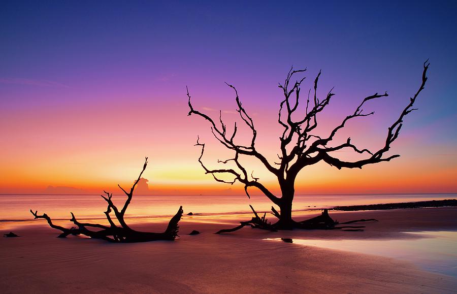 Sunset Photograph - Color mixture on Jeckyl Island Driftwood Beach by Frozen in Time Fine Art Photography