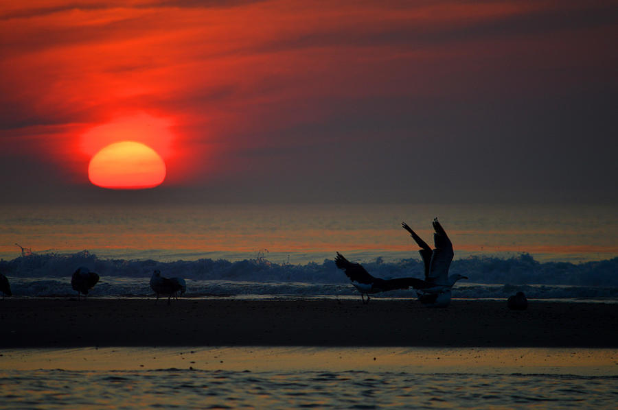 Color My World Cape Cod National Seashore Photograph By Dianne Cowen Cape Cod And Ocean 