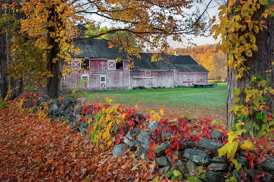 Color of New England Photograph by Bill Wakeley