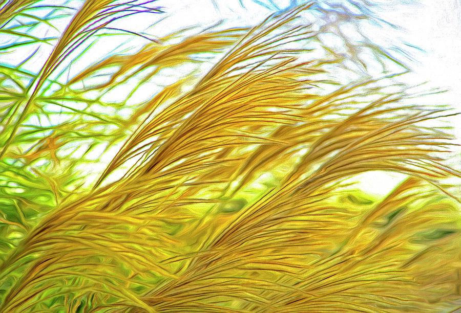 Flower Digital Art - Color of the Grass In The Wind by James Steele