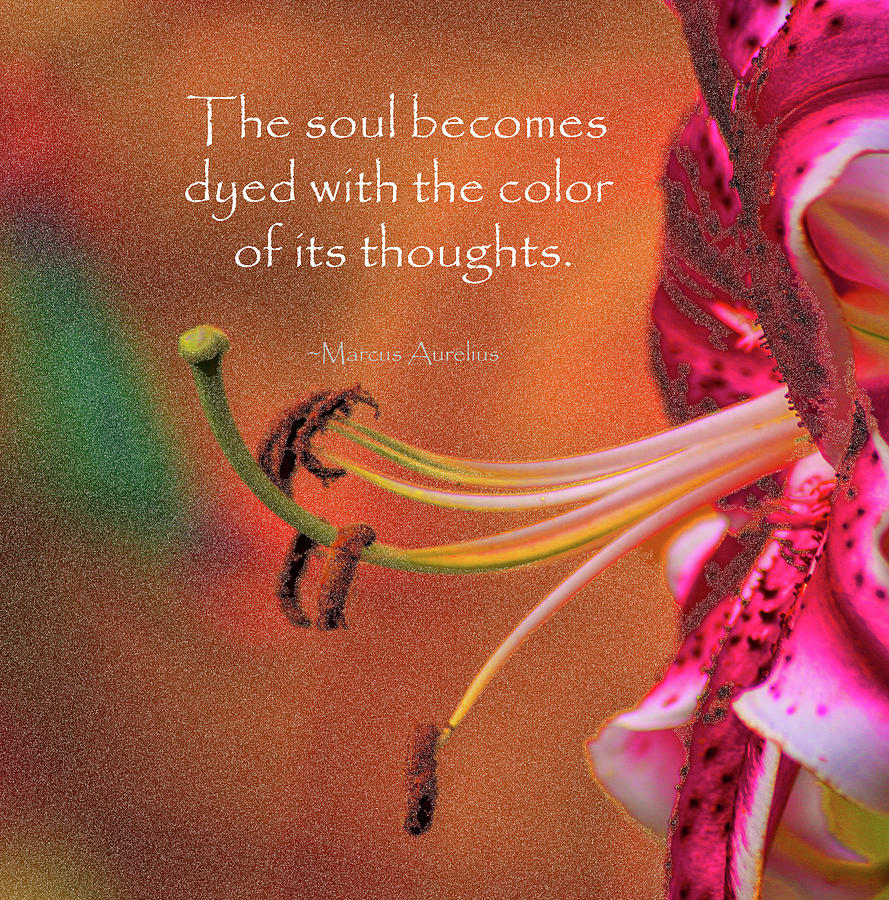 Color Of Your Thoughts Photograph by Ola Allen