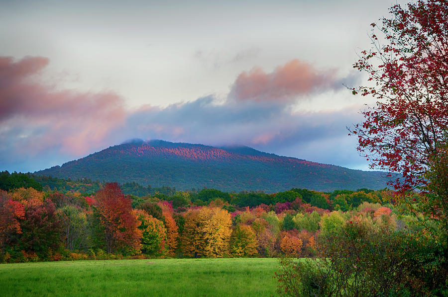Color on Crotched Mountain - NH Photograph by Joann Vitali