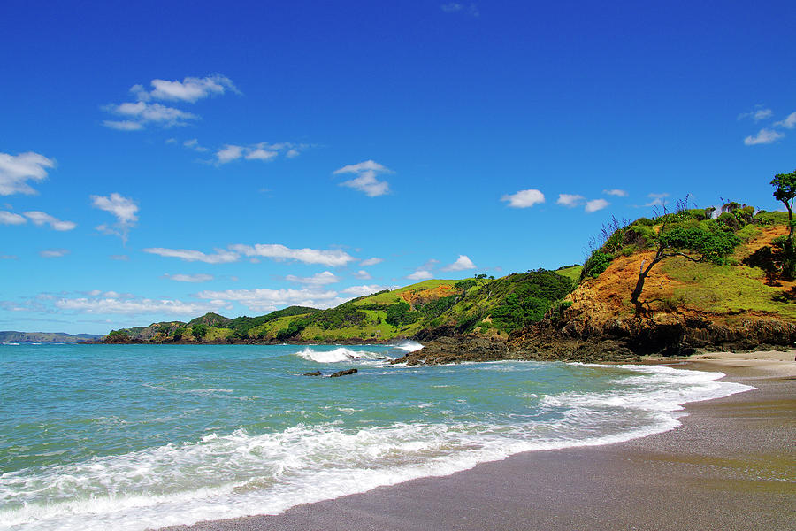 Color on Shore - New Zealand Photograph by Kenneth Lane Smith