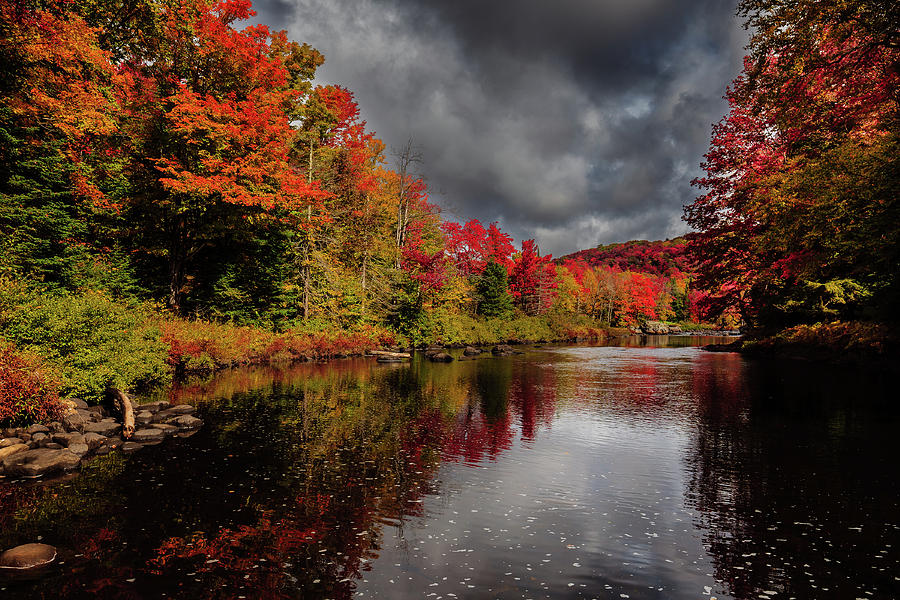 Color on the Moose River Photograph by David Patterson