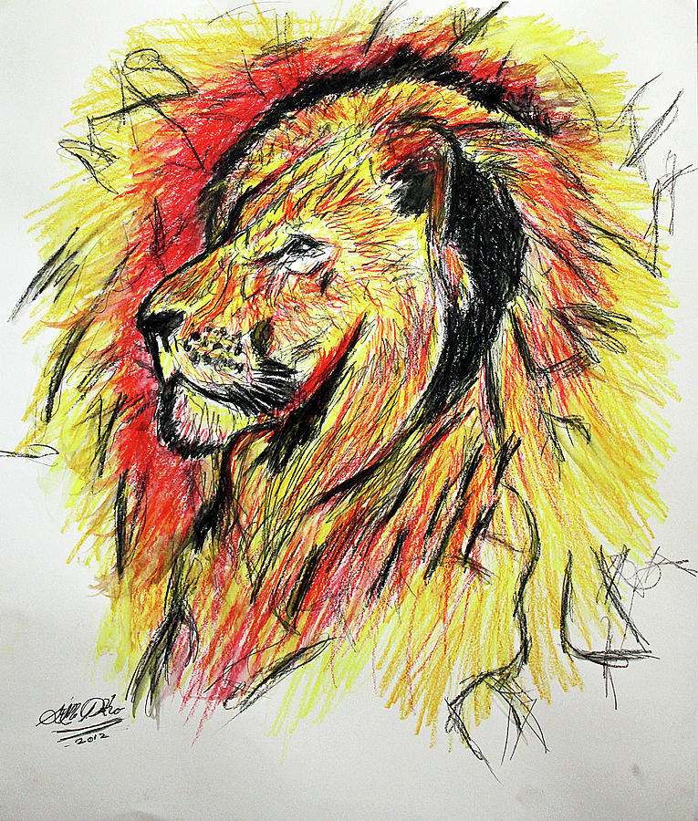 Color Sketch Lion Drawing by Sam Pako Pixels