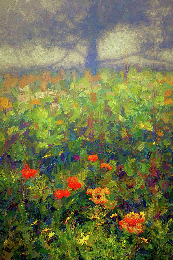 Color Thru the Fog ap Painting by Dan Carmichael