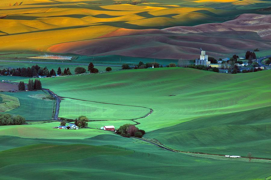 Tree Photograph - Color variations on the Palouse by Lynn Hopwood