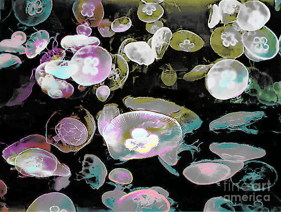 Color Wash Jellies Art Photograph