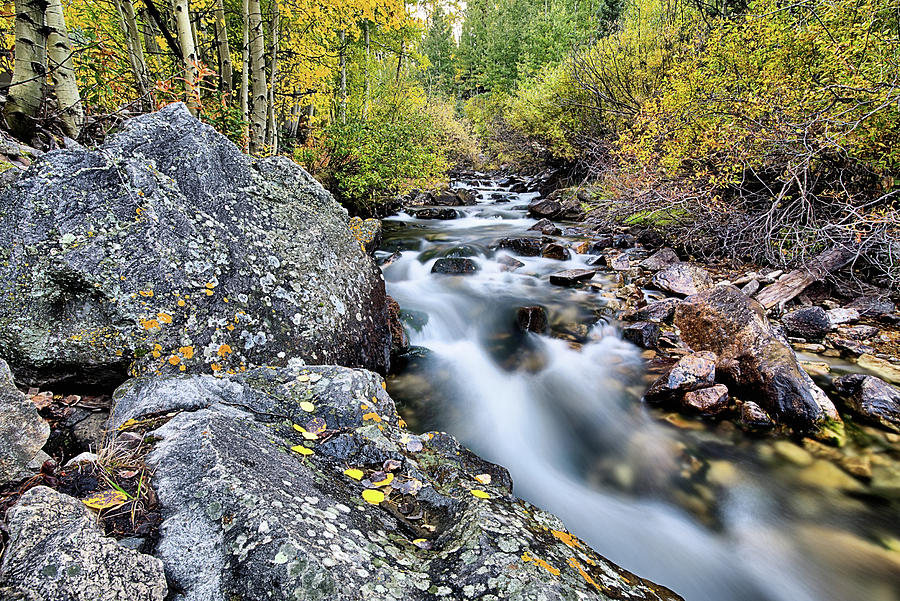 Colorado Aspen Creek Photograph by JC Findley