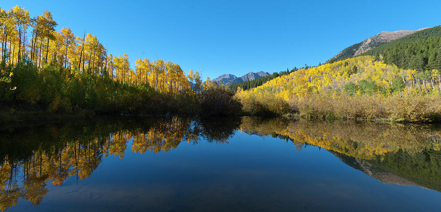 Colorado Autumn Aspen with Reflection Panorama Photograph by Cascade Colors